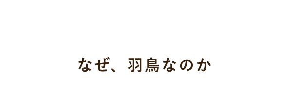 Why Hatori？ なぜ、羽鳥なのか